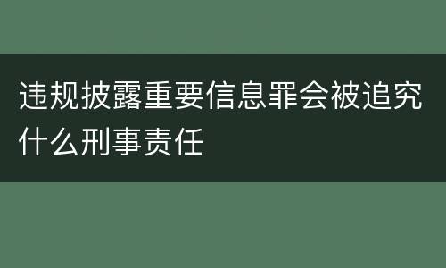 违规披露重要信息罪会被追究什么刑事责任