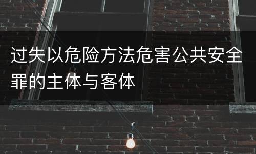 过失以危险方法危害公共安全罪的主体与客体