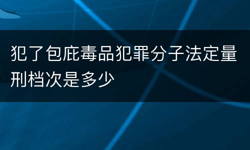 犯了包庇毒品犯罪分子法定量刑档次是多少