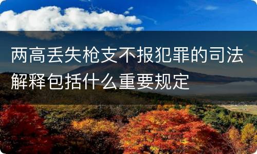 两高丢失枪支不报犯罪的司法解释包括什么重要规定