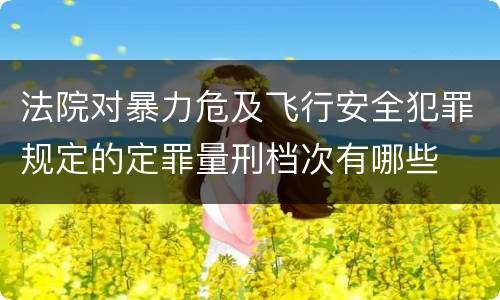 法院对暴力危及飞行安全犯罪规定的定罪量刑档次有哪些