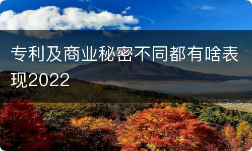 专利及商业秘密不同都有啥表现2022