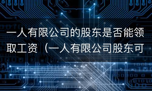 一人有限公司的股东是否能领取工资（一人有限公司股东可以是企业吗）