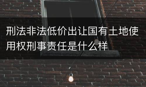 刑法非法低价出让国有土地使用权刑事责任是什么样