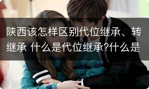 陕西该怎样区别代位继承、转继承 什么是代位继承?什么是转继承?