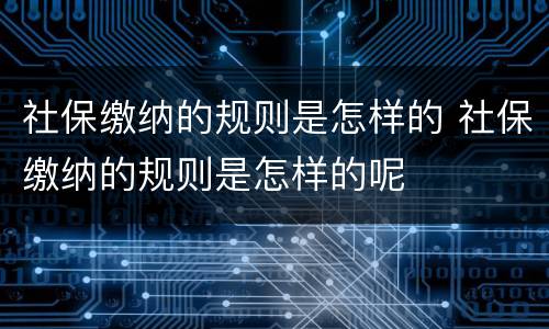 社保缴纳的规则是怎样的 社保缴纳的规则是怎样的呢