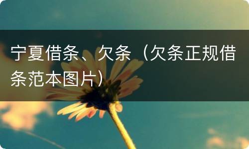 宁夏借条、欠条（欠条正规借条范本图片）