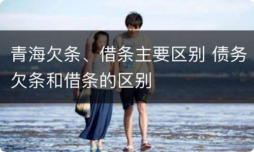 青海欠条、借条主要区别 债务欠条和借条的区别