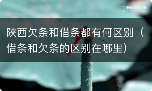 陕西欠条和借条都有何区别（借条和欠条的区别在哪里）