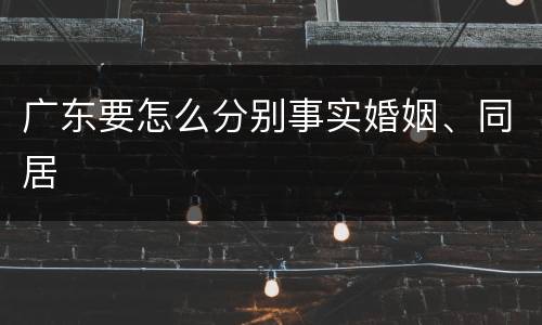 广东要怎么分别事实婚姻、同居