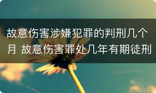 故意伤害涉嫌犯罪的判刑几个月 故意伤害罪处几年有期徒刑