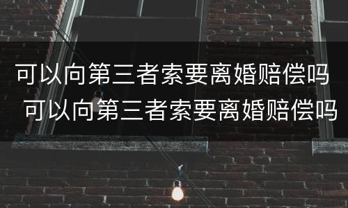 可以向第三者索要离婚赔偿吗 可以向第三者索要离婚赔偿吗法律