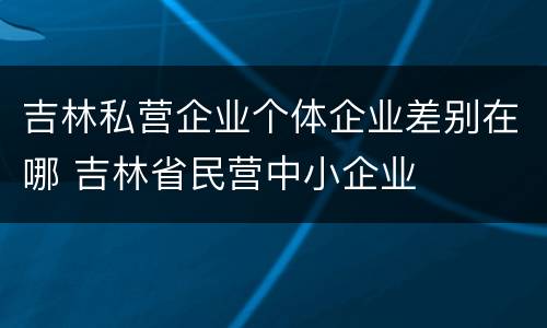 吉林私营企业个体企业差别在哪 吉林省民营中小企业