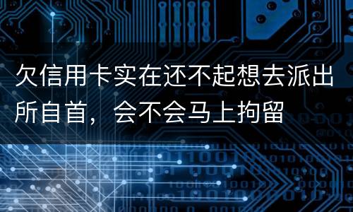 欠信用卡实在还不起想去派出所自首，会不会马上拘留