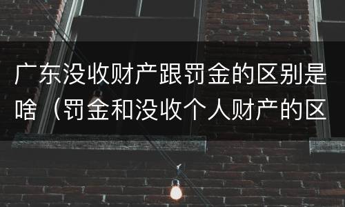 广东没收财产跟罚金的区别是啥（罚金和没收个人财产的区别）