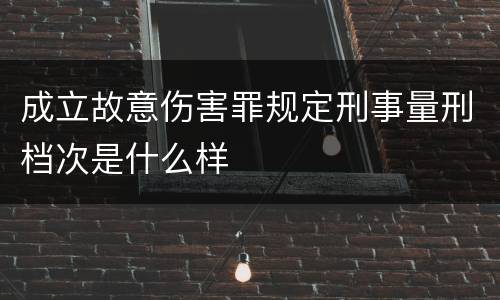 成立故意伤害罪规定刑事量刑档次是什么样