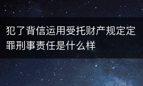 犯了背信运用受托财产规定定罪刑事责任是什么样