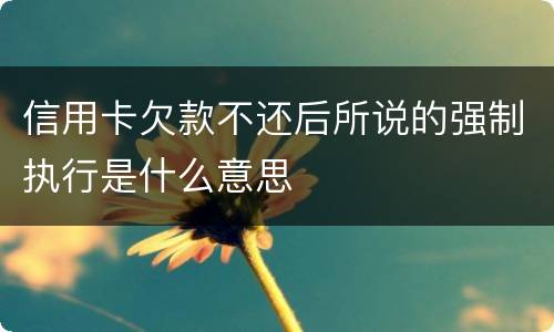 信用卡欠款不还后所说的强制执行是什么意思