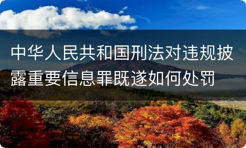 中华人民共和国刑法对违规披露重要信息罪既遂如何处罚