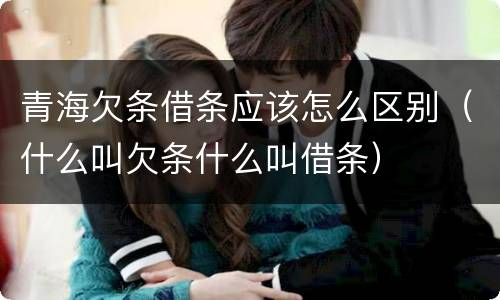 青海欠条借条应该怎么区别（什么叫欠条什么叫借条）
