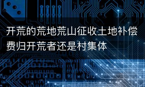 开荒的荒地荒山征收土地补偿费归开荒者还是村集体