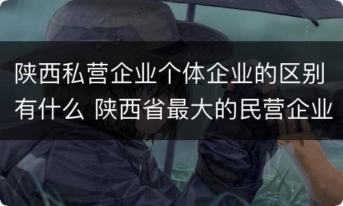 陕西私营企业个体企业的区别有什么 陕西省最大的民营企业是什么公司