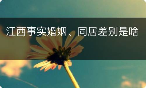 江西事实婚姻、同居差别是啥
