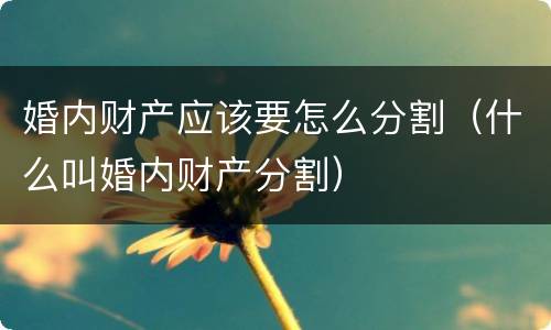 婚内财产应该要怎么分割（什么叫婚内财产分割）