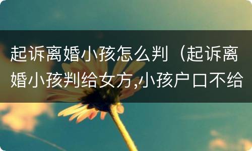 起诉离婚小孩怎么判（起诉离婚小孩判给女方,小孩户口不给女方怎么办）
