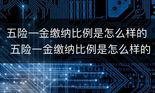 五险一金缴纳比例是怎么样的 五险一金缴纳比例是怎么样的啊