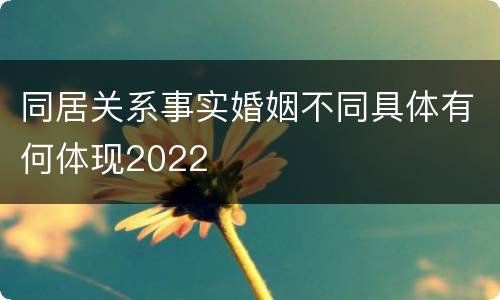 同居关系事实婚姻不同具体有何体现2022