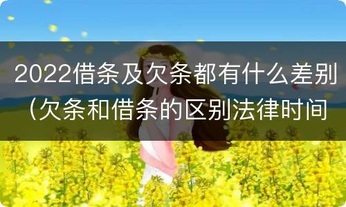 2022借条及欠条都有什么差别（欠条和借条的区别法律时间多少年）