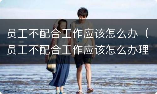 员工不配合工作应该怎么办（员工不配合工作应该怎么办理）