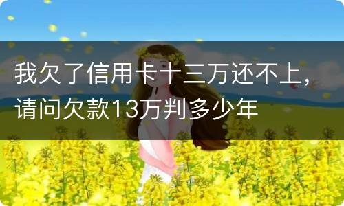 我欠了信用卡十三万还不上，请问欠款13万判多少年