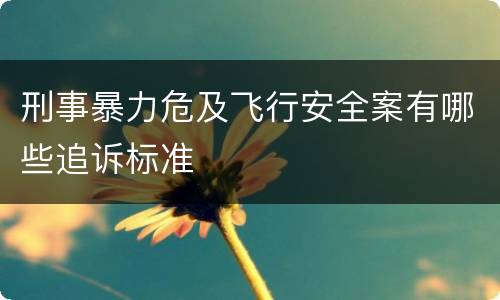 刑事暴力危及飞行安全案有哪些追诉标准