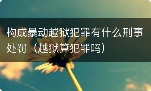 构成暴动越狱犯罪有什么刑事处罚（越狱算犯罪吗）