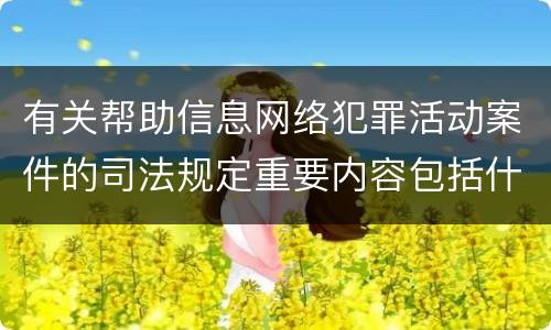 有关帮助信息网络犯罪活动案件的司法规定重要内容包括什么