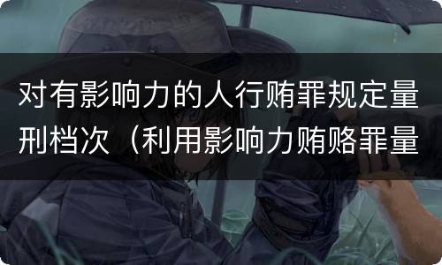 对有影响力的人行贿罪规定量刑档次(利用影响力贿赂罪量刑数额)