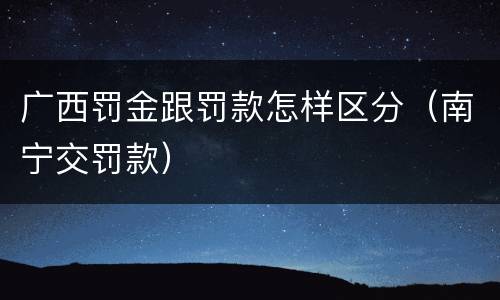 广西罚金跟罚款怎样区分（南宁交罚款）