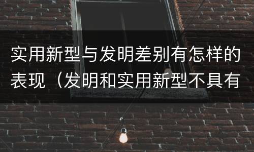实用新型与发明差别有怎样的表现（发明和实用新型不具有什么特性）