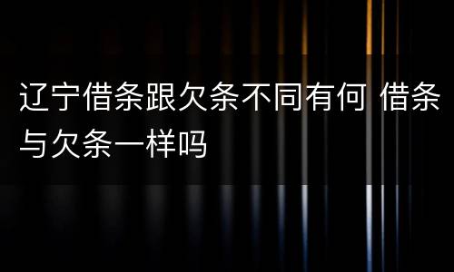 辽宁借条跟欠条不同有何 借条与欠条一样吗