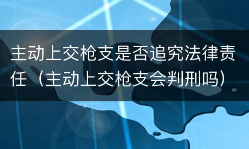 主动上交枪支是否追究法律责任（主动上交枪支会判刑吗）