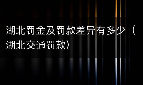湖北罚金及罚款差异有多少（湖北交通罚款）
