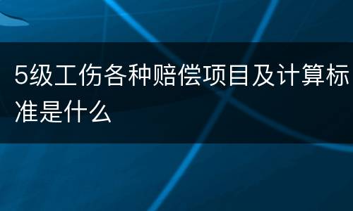 5级工伤各种赔偿项目及计算标准是什么