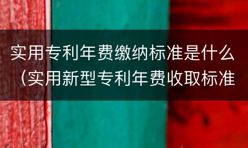 实用专利年费缴纳标准是什么（实用新型专利年费收取标准）