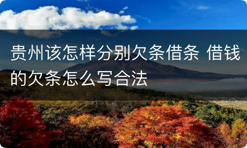 贵州该怎样分别欠条借条 借钱的欠条怎么写合法