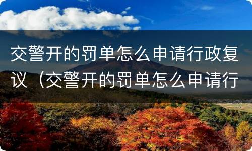 交警开的罚单怎么申请行政复议（交警开的罚单怎么申请行政复议呢）