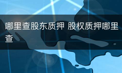 哪里查股东质押 股权质押哪里查