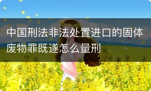 中国刑法非法处置进口的固体废物罪既遂怎么量刑