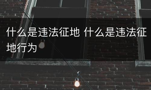 什么是违法征地 什么是违法征地行为